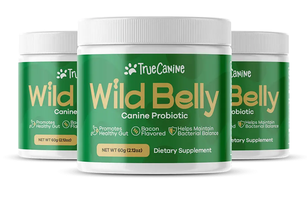 Wild Belly Canine Probiotic Supplement